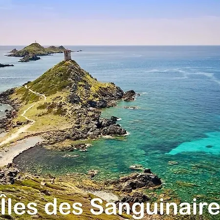 Lägenhet T3 - Front De - Parking - Confort Ajaccio (Corsica)