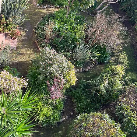 T3 - Front De - Parking - Confort * Ajaccio (Corsica)