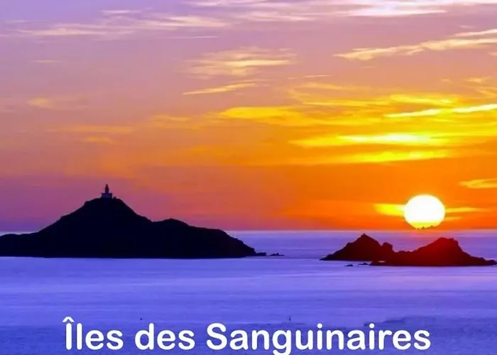 T3 - Front De - Parking - Confort * Ajaccio (Corsica)