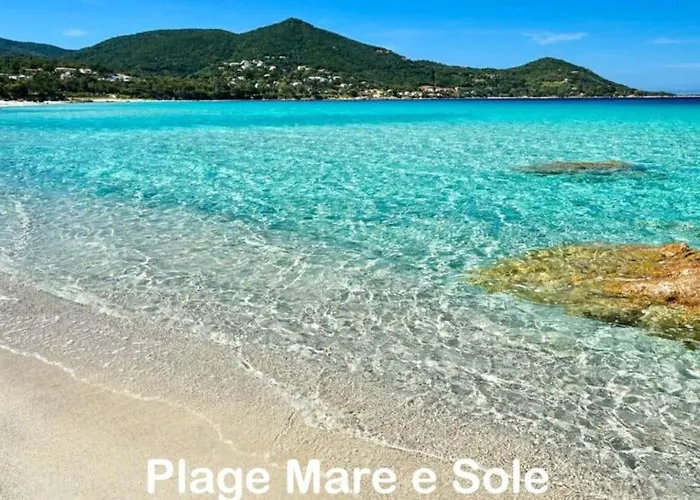 T3 - Front De - Parking - Confort * Ajaccio (Corsica)