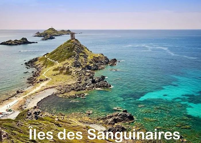 Appartamento T3 - Front De - Parking - Confort Ajaccio (Corsica)